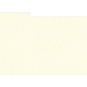 HNFD 10 Carduri de separare cutie foto 15x20 cm - Avorio...