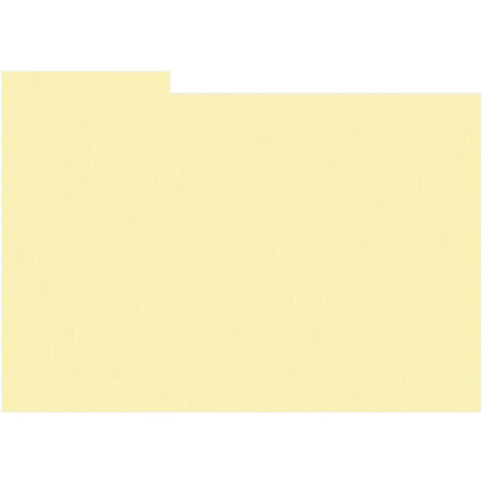 HNFD 10 carduri separatoare pentru cutii foto 15x20 cm - Crema