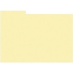 HNFD 10 carduri separatoare pentru cutii foto 15x20 cm -...