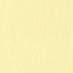 HNFD 10 carduri separatoare pentru cutii foto 15x20 cm - Crema