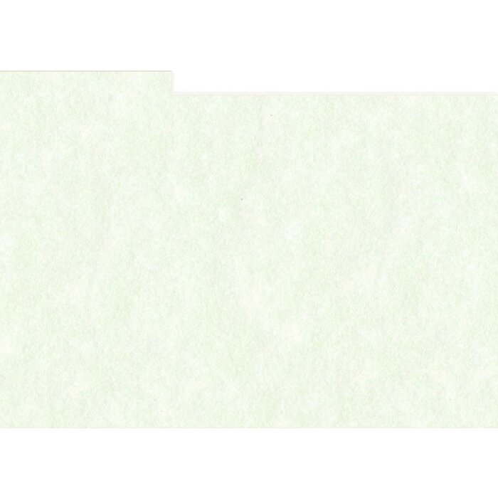 HNFD 10 carduri separatoare pentru cutii foto 15x20 cm - Perg Verdino