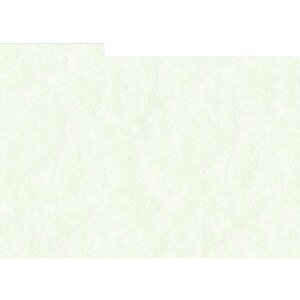 HNFD 10 carduri separatoare pentru cutii foto 15x20 cm -...