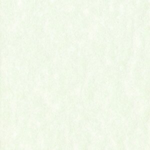 HNFD 10 carduri separatoare pentru cutii foto 15x20 cm - Perg Verdino