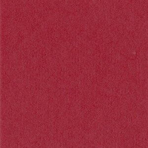 HNFD 10 carduri separatoare pentru cutii foto 15x20 cm - Rosso Cardinale