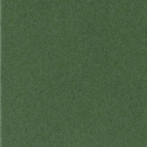 HNFD 10 carduri separatoare pentru cutii foto 15x20 cm - Verdone