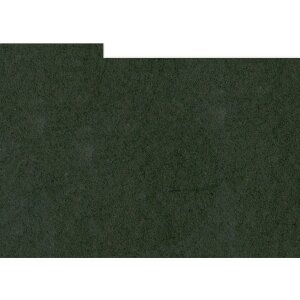 HNFD 10 carduri separatoare cutie foto 15x20 cm - Nero