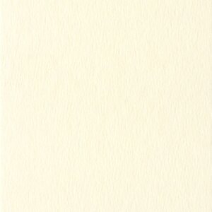 HNFD Cutie foto Carduri de separare 15x20 cm Avorio Cream 10 bucăți