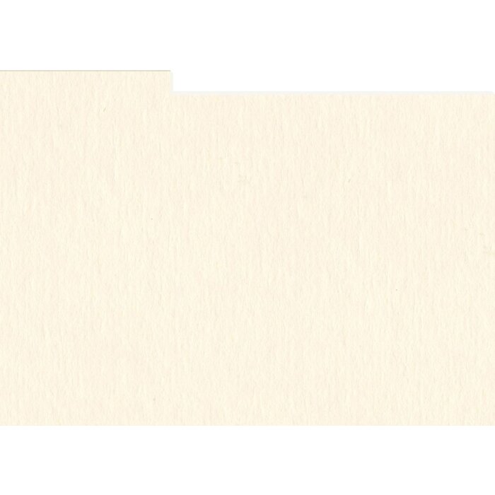 HNFD 10 carduri separatoare pentru cutii foto 15x20 cm - Conchiglia