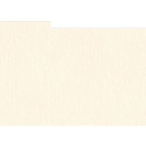 HNFD 10 carduri separatoare pentru cutii foto 15x20 cm -...