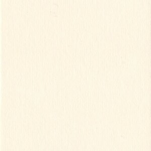 HNFD 10 carduri separatoare pentru cutii foto 15x20 cm - Conchiglia