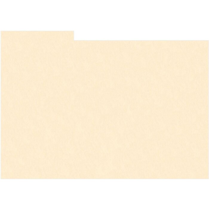 HNFD 10 carduri separatoare pentru cutii foto 15x20 cm - Vaniglia
