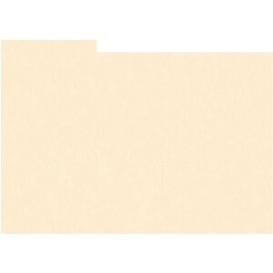 HNFD 10 carduri separatoare pentru cutii foto 15x20 cm -...