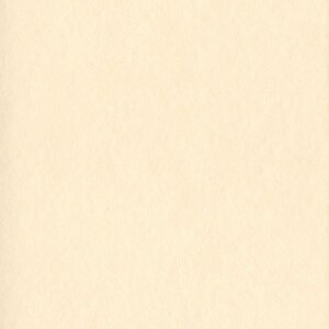 HNFD 10 carduri separatoare pentru cutii foto 15x20 cm - Vaniglia