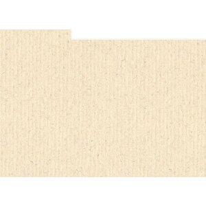 HNFD 10 Carduri de separare pentru cutia foto 15x20 cm -...