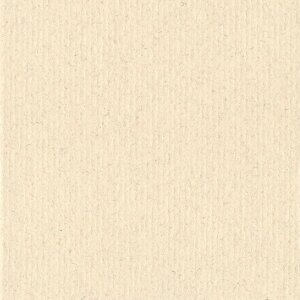 HNFD 10 Carduri de separare pentru cutia foto 15x20 cm - Avorio di Castiglia