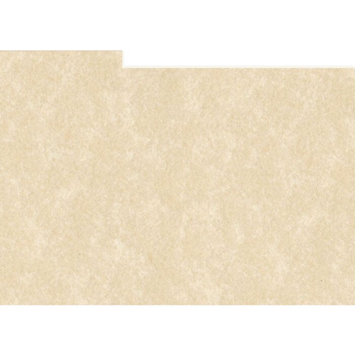 HNFD 10 Carduri de separare pentru cutia foto 15x20 cm - Perg Avorio Antico