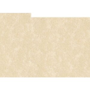 HNFD 10 Carduri de separare pentru cutia foto 15x20 cm -...