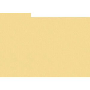 HNFD 10 carduri de divizare cutie foto 15x20 cm - Paglierino