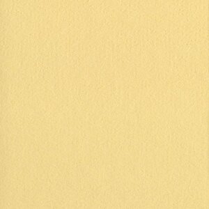 HNFD 10 carduri de divizare cutie foto 15x20 cm - Paglierino