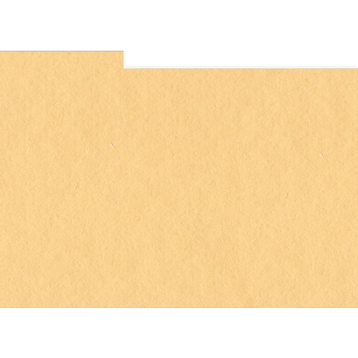 HNFD 10 carduri de separare pentru fotobox 15x20 cm – albicocca