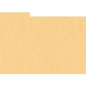 HNFD 10 cutii foto separatoare carduri 15x20 cm - Albicocca