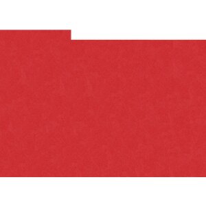 HNFD 10 carduri separatoare pentru cutii foto 15x20 cm -...