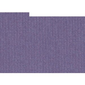 HNFD 10 carduri separatoare pentru cutii foto 15x20 cm -...