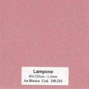 HNFD 10 carduri separatoare cutie foto 15x20 cm - Lampone