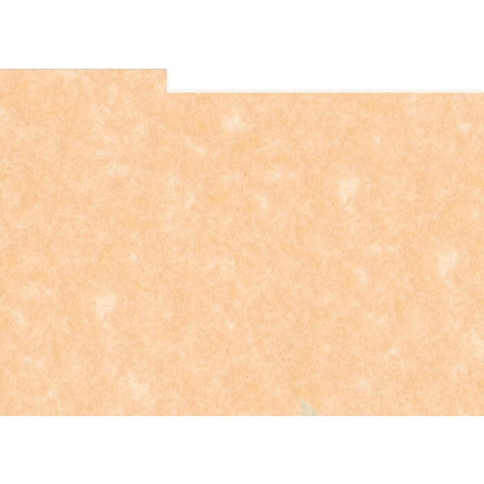 HNFD 10 Carduri de separare cutie foto 15x20 cm - Perg Pink