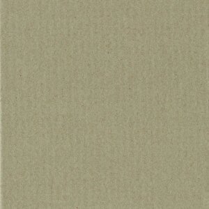 HNFD 10 Căsuță foto Carduri de separare 15x20 cm - Pistacchio