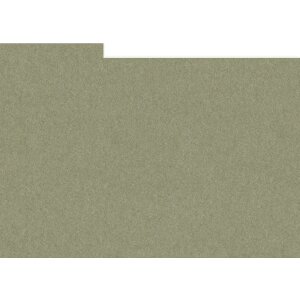 HNFD 10 carduri separatoare pentru cutii foto 15x20 cm -...