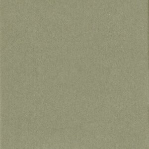 HNFD 10 carduri separatoare pentru cutii foto 15x20 cm - Verda Tundra