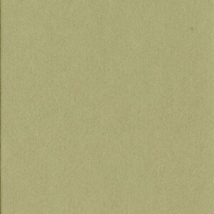 HNFD 10 carduri separatoare pentru cutii foto 15x20 cm - Verde Alga