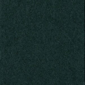 HNFD 10 carduri separatoare cutie foto 15x20 cm - Antracit