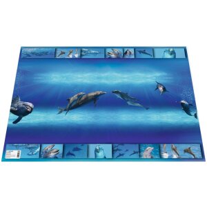 Hoșele de scris HERMA 550 x 350 mm - Delfin
