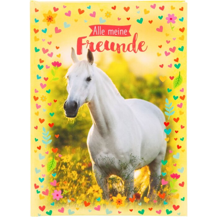 Album de prieteni Goldbuch Chiara 15x21 cm – 88 de pagini ilustrate