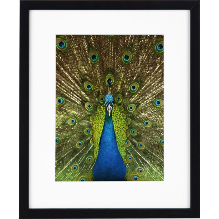 Goldbuch cadru din lemn Pino 20x25 cm negru cu passe-partout 13x18 cm