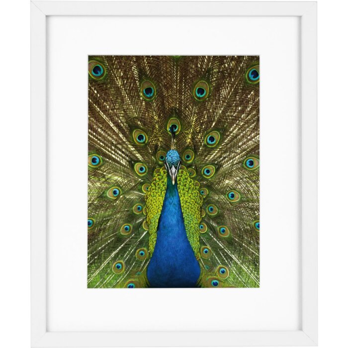 Goldbuch Holzrahmen Pino 20x25 cm weiß mit Passepartout 13x18 cm