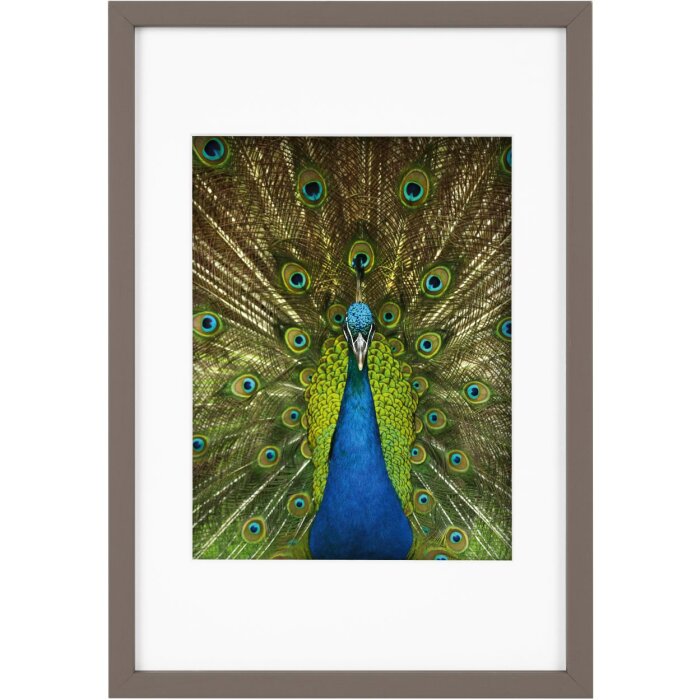 Goldbuch cadru din lemn Pino 20x30 cm taupe cu passe-partout 15x20 cm