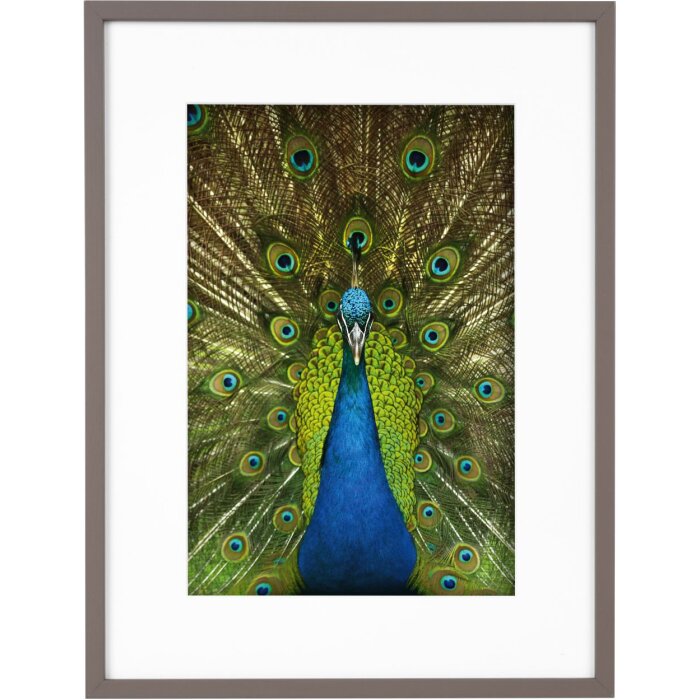 Goldbuch cadru din lemn Pino 30x40 cm taupe cu passe-partout 20x30 cm