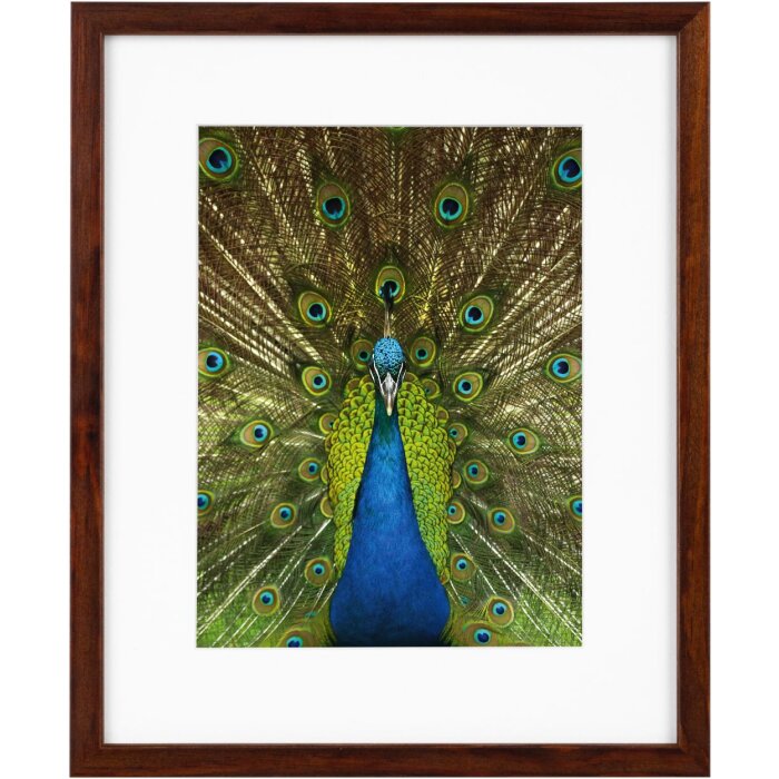 Goldbuch Holzrahmen Pino 20x25 cm mahagoni mit Passepartout 13x18 cm