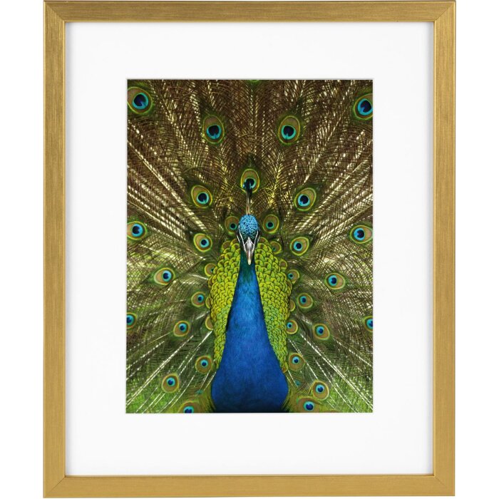 Goldbuch cadru din lemn Pino 20x25 cm aur cu passe-partout 13x18 cm