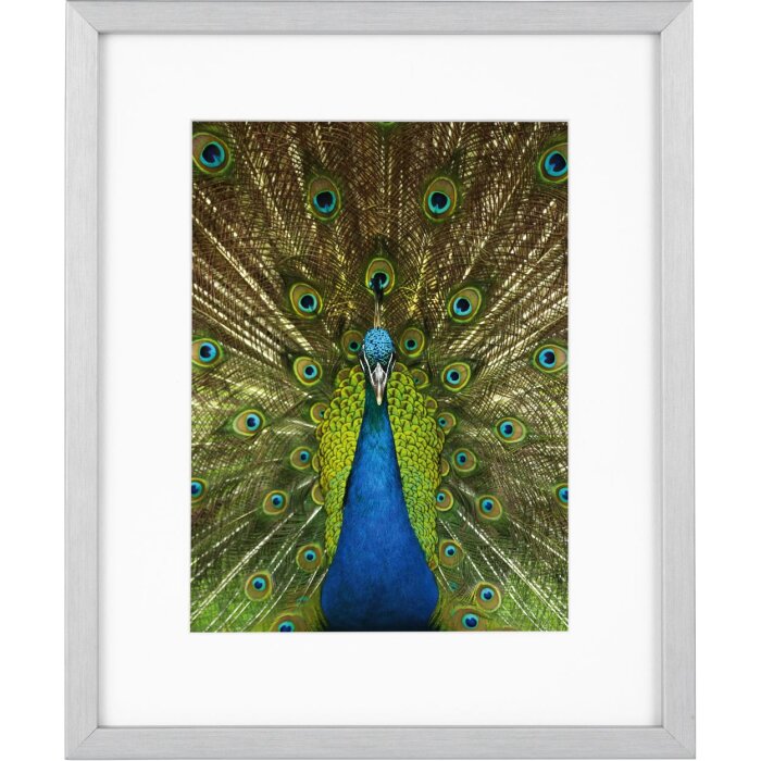 Goldbuch cadru din lemn Pino 20x25 cm argint cu passe-partout 13x18 cm