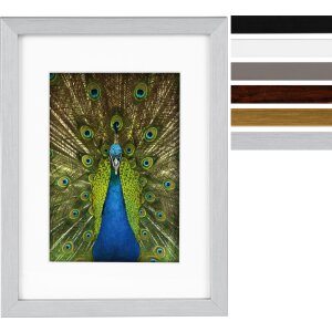 Goldbuch Holzrahmen Pino 13x18 cm bis 30x40 cm Passepartout Normalglas