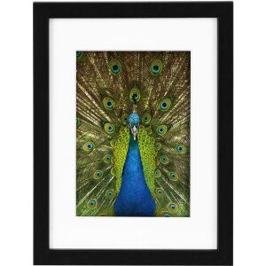 Goldbuch Holzrahmen Pino 13x18 cm bis 30x40 cm Passepartout Normalglas