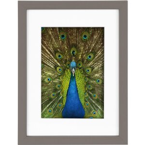 Goldbuch Holzrahmen Pino 13x18 cm bis 30x40 cm Passepartout Normalglas