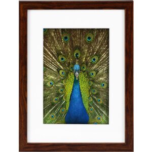 Goldbuch Holzrahmen Pino 13x18 cm bis 30x40 cm Passepartout Normalglas