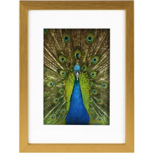 Goldbuch Holzrahmen Pino 13x18 cm bis 30x40 cm Passepartout Normalglas