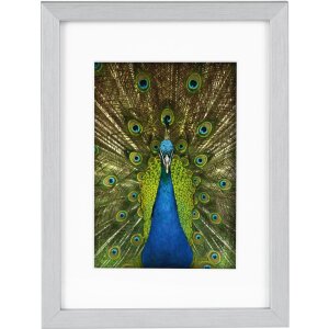 Goldbuch Holzrahmen Pino 13x18 cm bis 30x40 cm Passepartout Normalglas