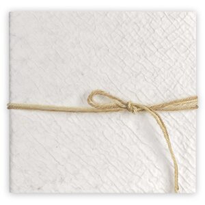 Album foto ZEP Meryl V 23x23 cm 20 pagini albe